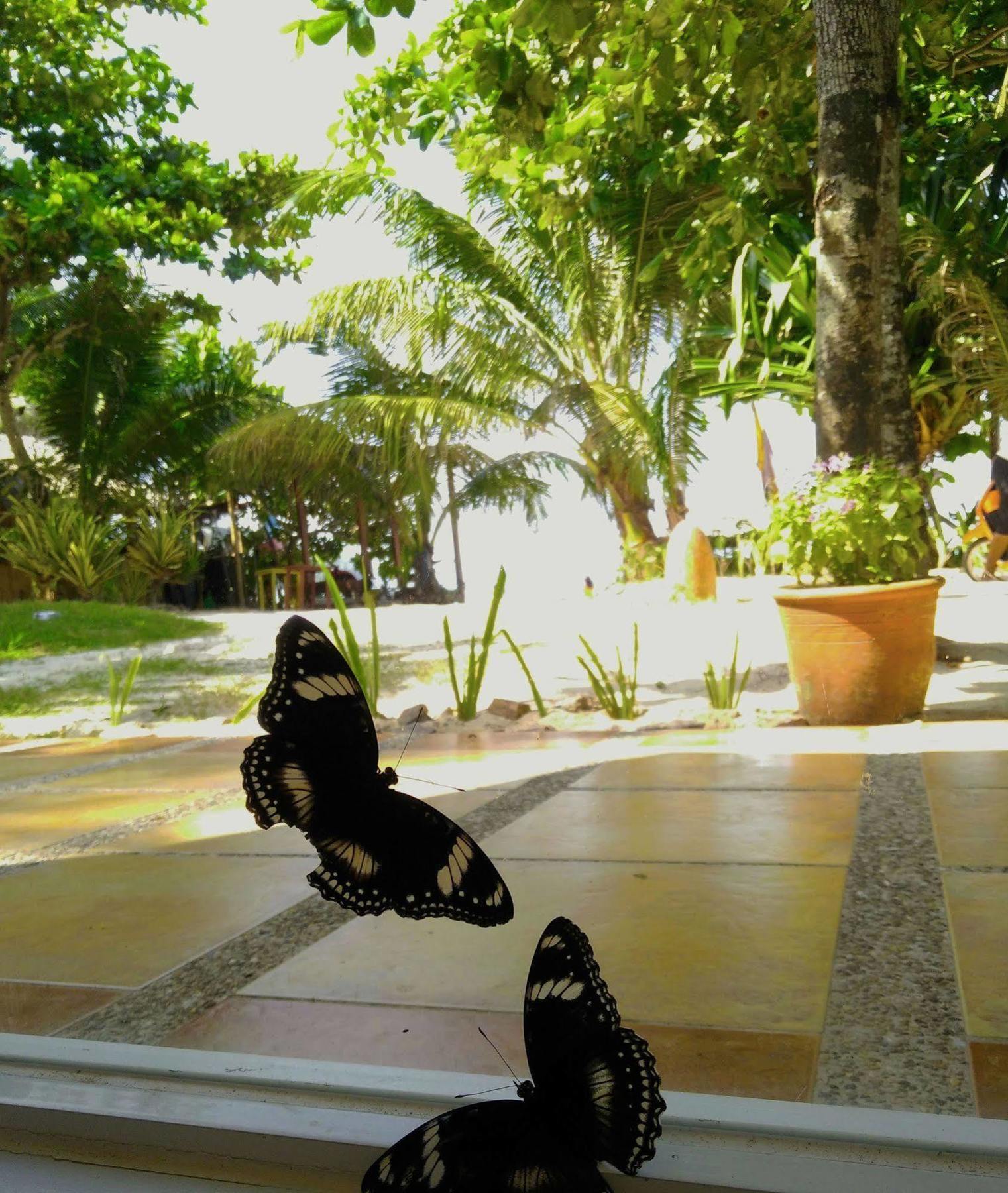 Resort Aissatou Balabag (Boracay)